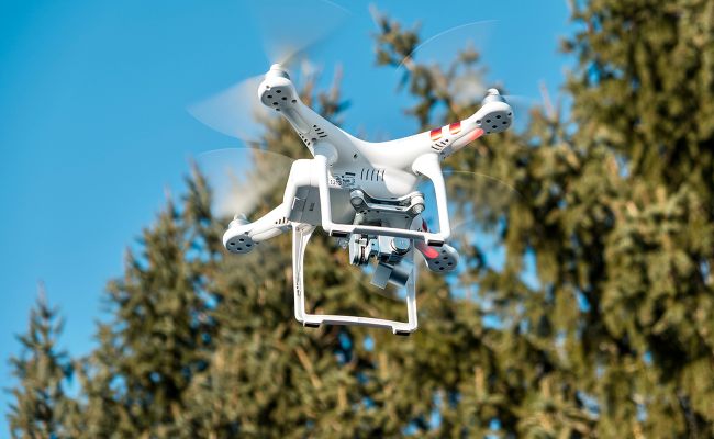 Image - Biodiversitätsmonitoring von Mooren mit KI und Drohnen