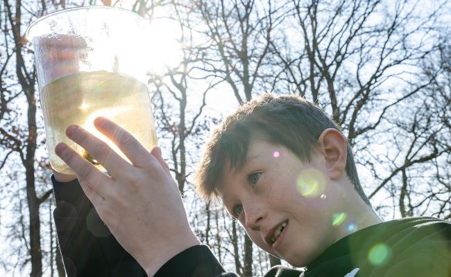 Image - Verantwortungsbewusste Zukunftsgestalter:innen für die Region ausbilden